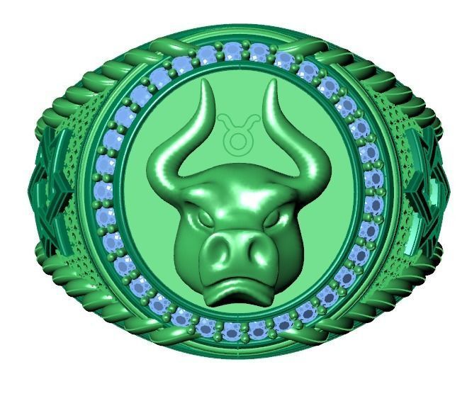 Men Zodiac Ring Set 12Signs 3DModel STL 3DM 3D print model_13