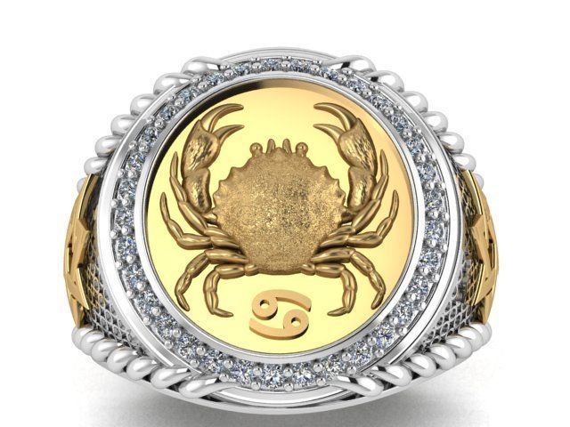 Men Zodiac Ring Set 12Signs 3DModel STL 3DM 3D print model_20