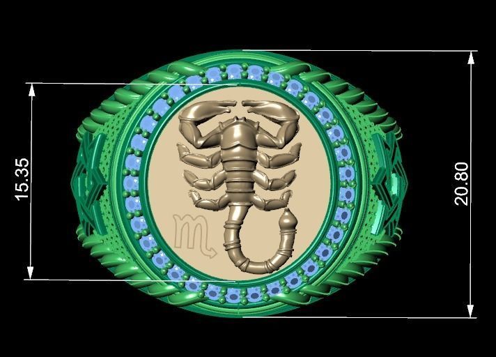 Men Zodiac Ring Set 12Signs 3DModel STL 3DM 3D print model_9