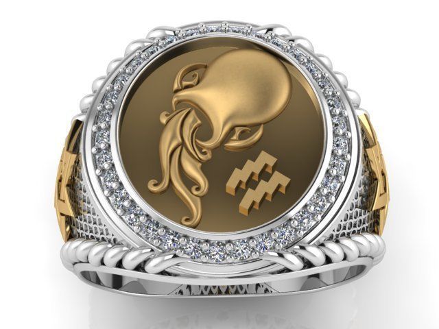 Men Zodiac Ring Set 12Signs 3DModel STL 3DM 3D print model_14