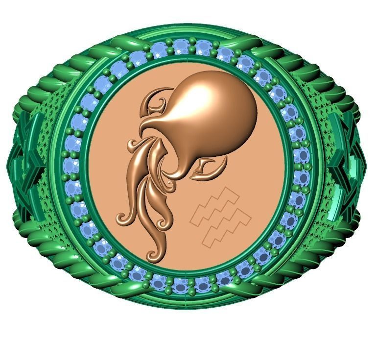 Men Zodiac Ring Set 12Signs 3DModel STL 3DM 3D print model_15