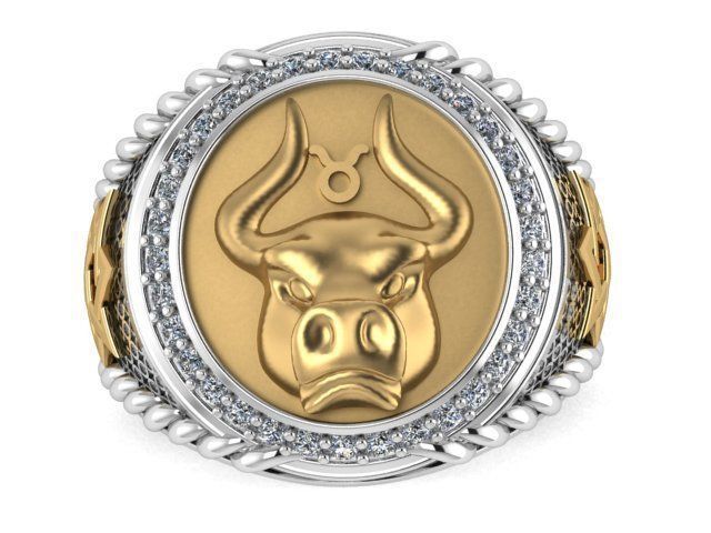 Men Zodiac Ring Set 12Signs 3DModel STL 3DM 3D print model_12