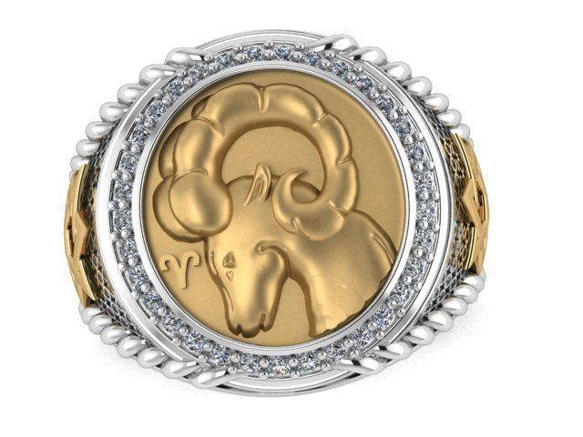 Men Zodiac Ring Set 12Signs 3DModel STL 3DM 3D print model_16
