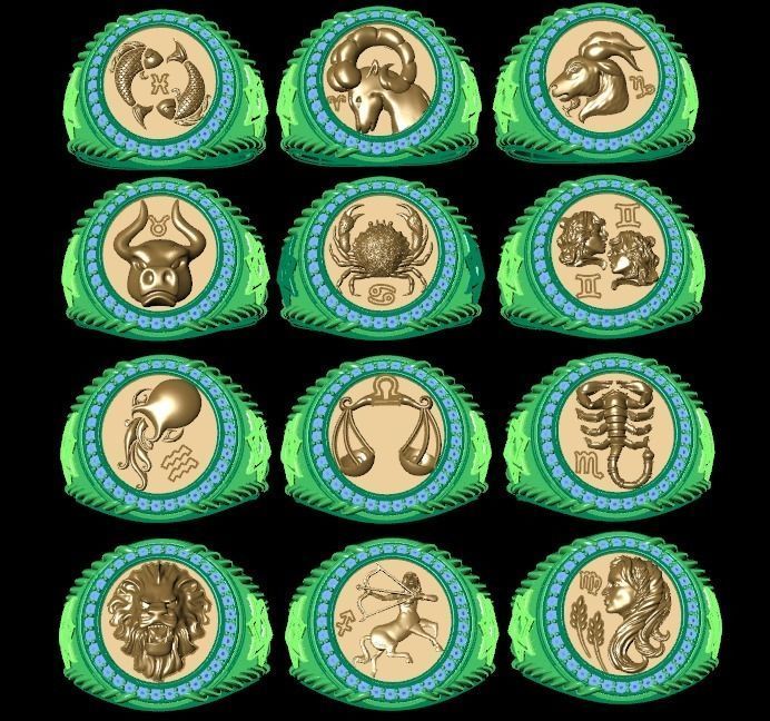 Men Zodiac Ring Set 12Signs 3DModel STL 3DM 3D print model_1