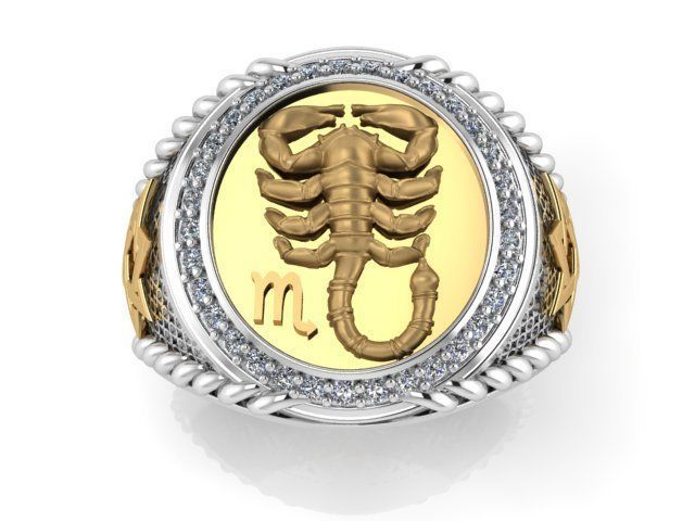 Men Zodiac Ring Set 12Signs 3DModel STL 3DM 3D print model_8