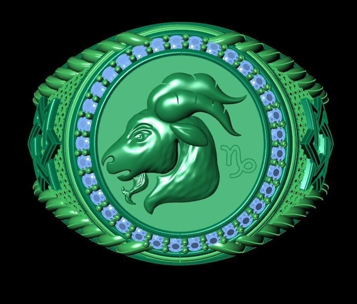 Men Zodiac Ring Set 12Signs 3DModel STL 3DM 3D print model_19