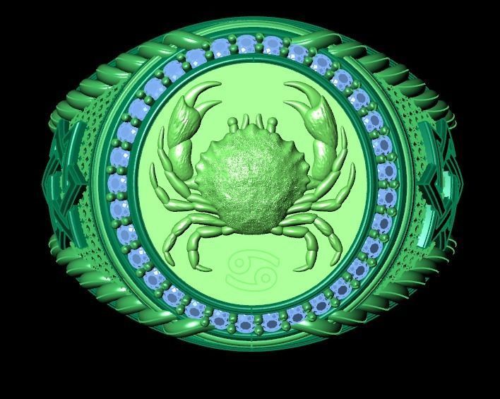 Men Zodiac Ring Set 12Signs 3DModel STL 3DM 3D print model_21