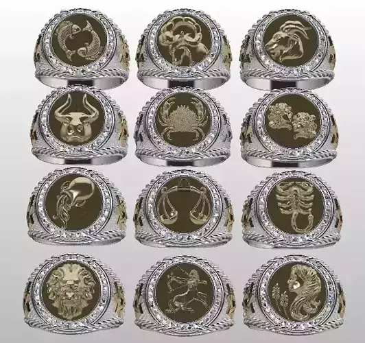 Zodiac rings 3D print model