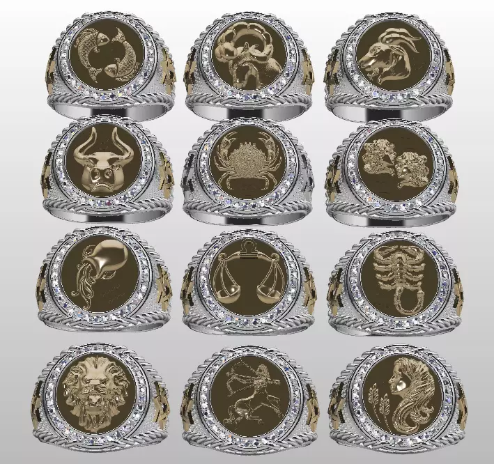 Men Zodiac Ring Set 12Signs 3DModel STL 3DM 3D print model_0