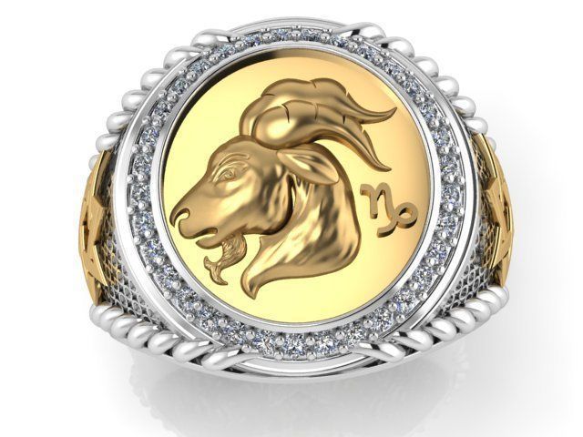 Men Zodiac Ring Set 12Signs 3DModel STL 3DM 3D print model_18