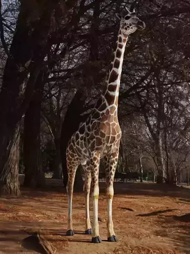 Giraffe Rigged Low Poly