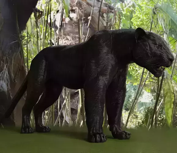 Black Panther Rigged