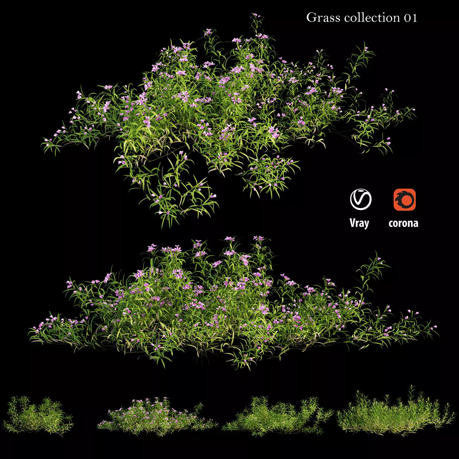Grass collection 01 3D model_0