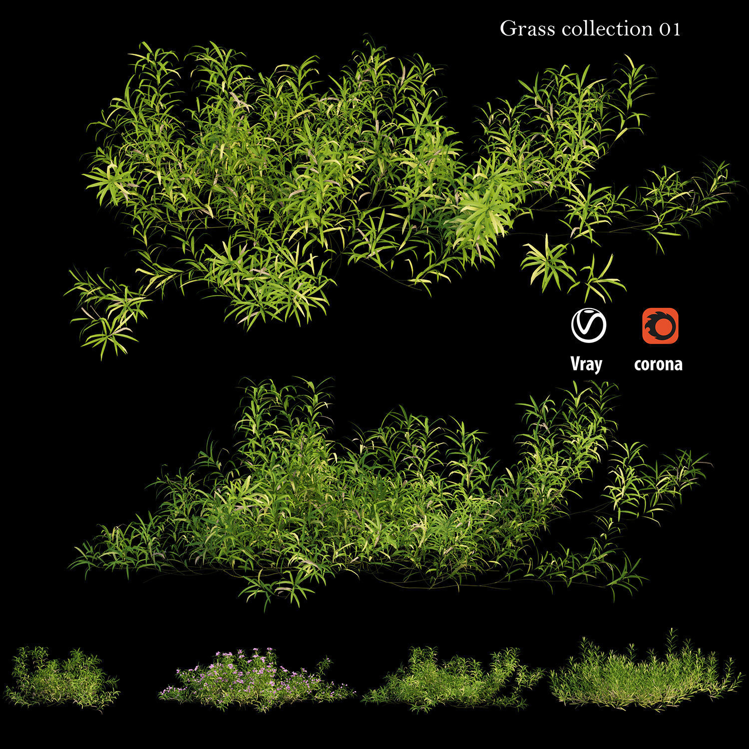 Grass collection 01 3D model_1