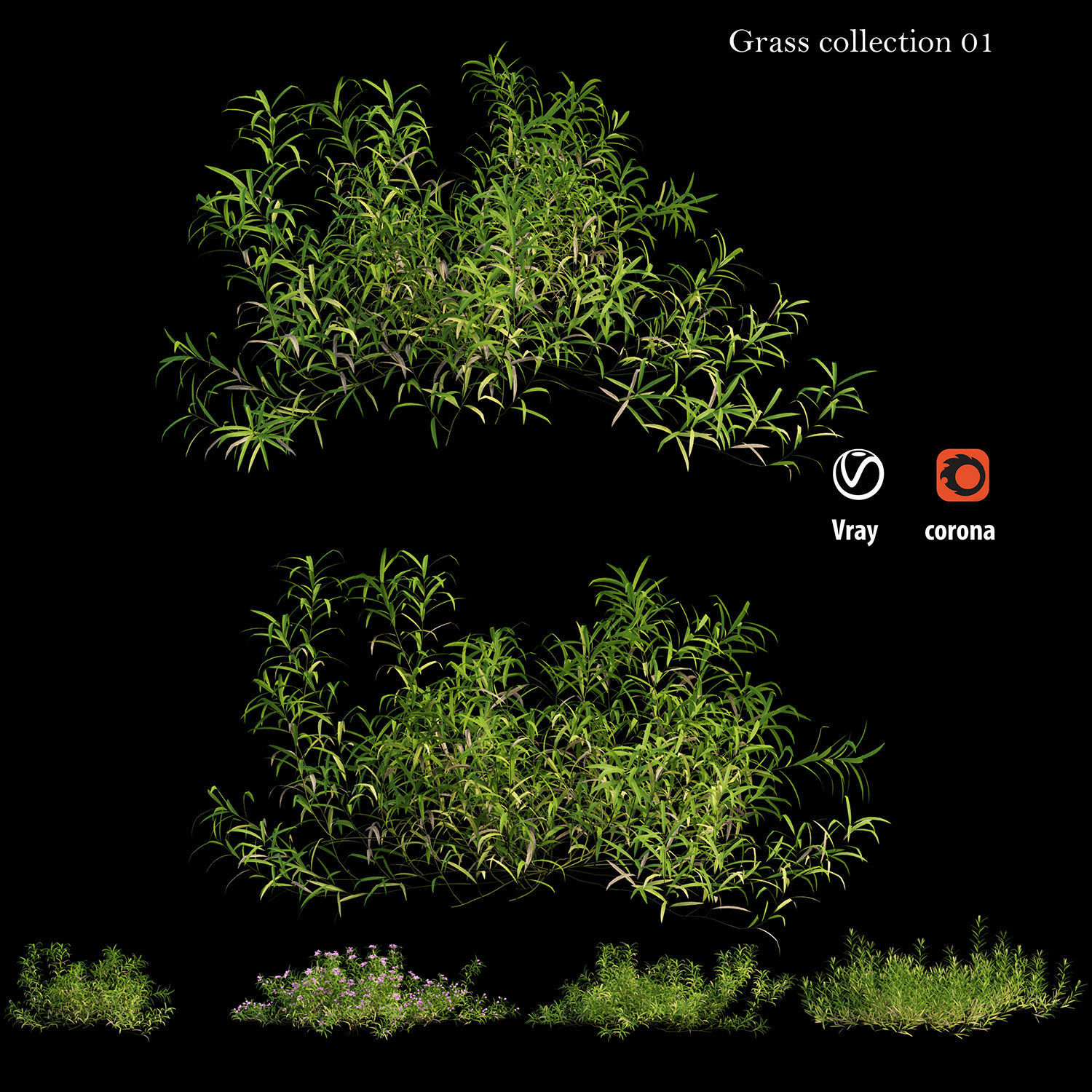 Grass collection 01 3D model_3