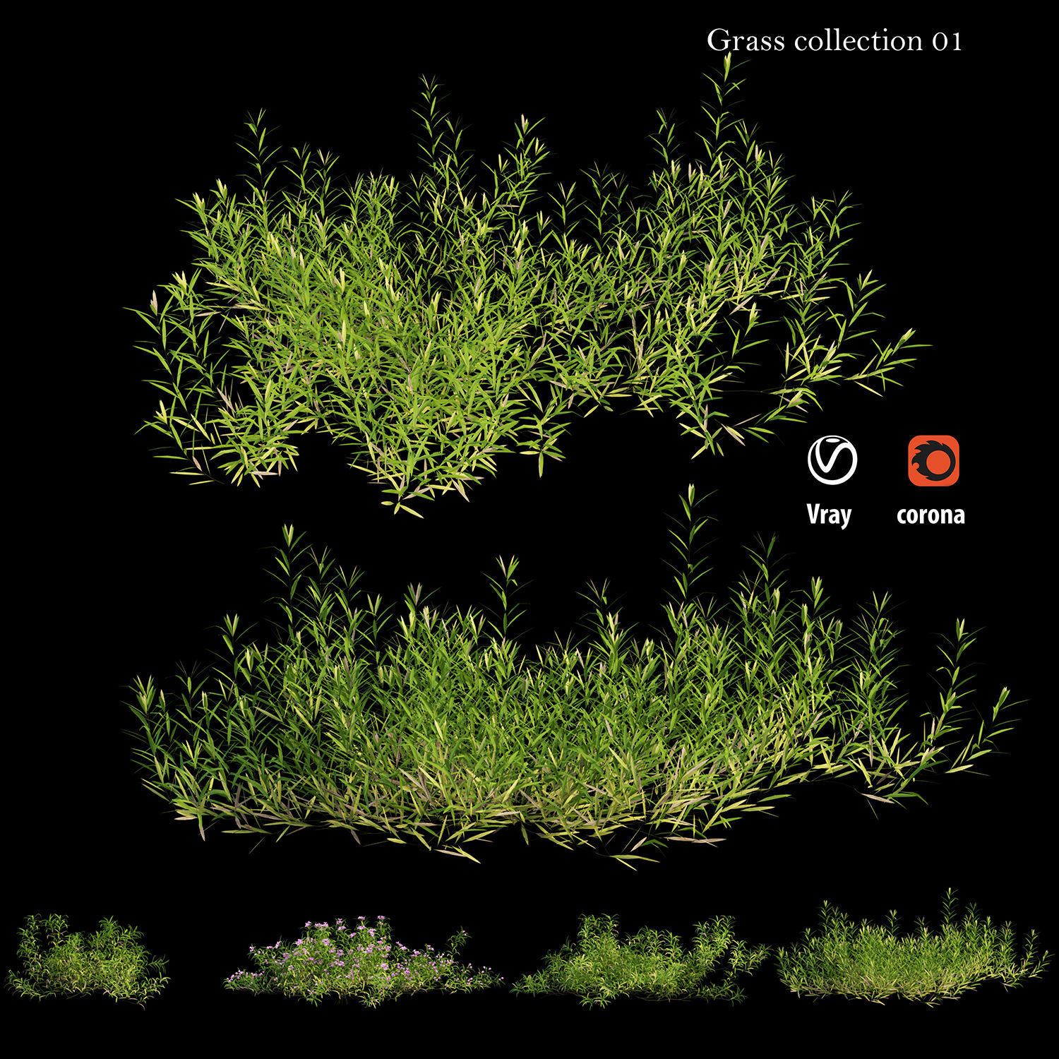 Grass collection 01 3D model_2