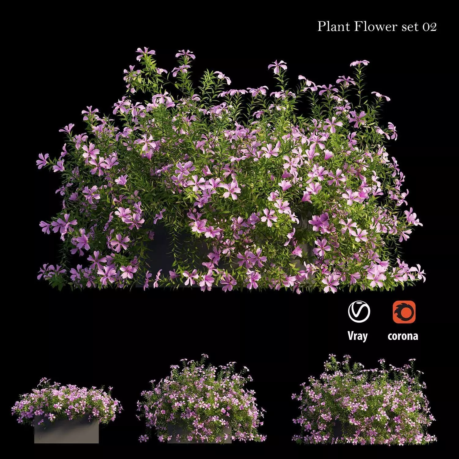 Plant Flower set 02 3D model