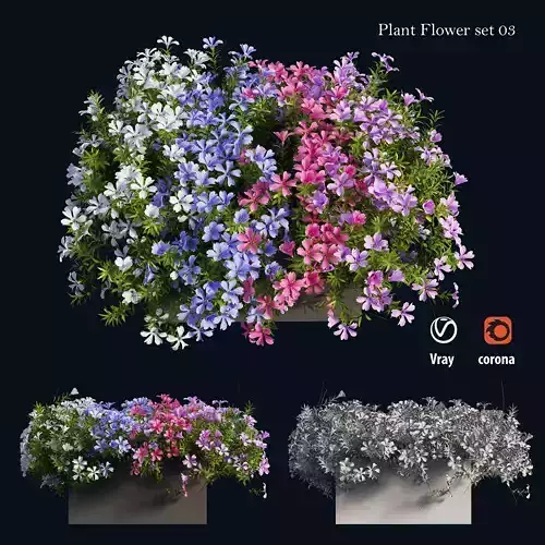 Plant Flower set 03 3D model