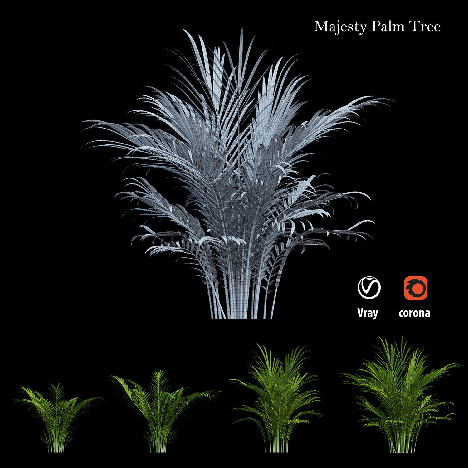 Majesty palm tree 3D model_5