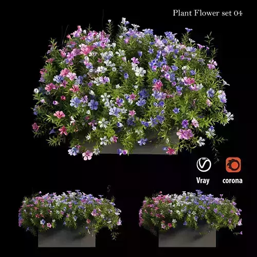 Plant Flower set 04 3D model
