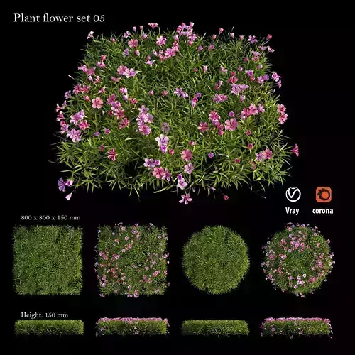Plant Flower set 05 3D model