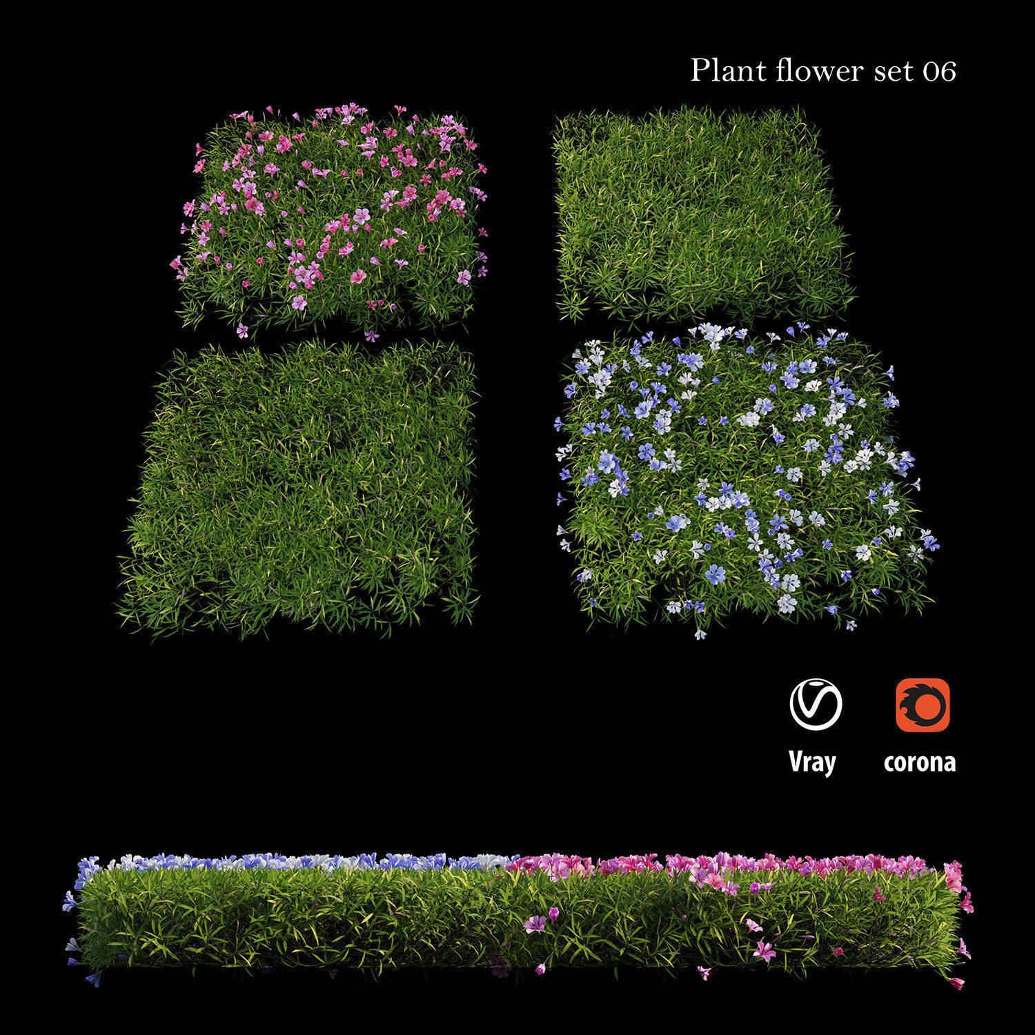 Plant Flower set 06 3D model_1