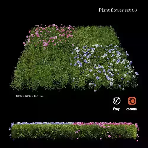 Plant Flower set 06 3D model