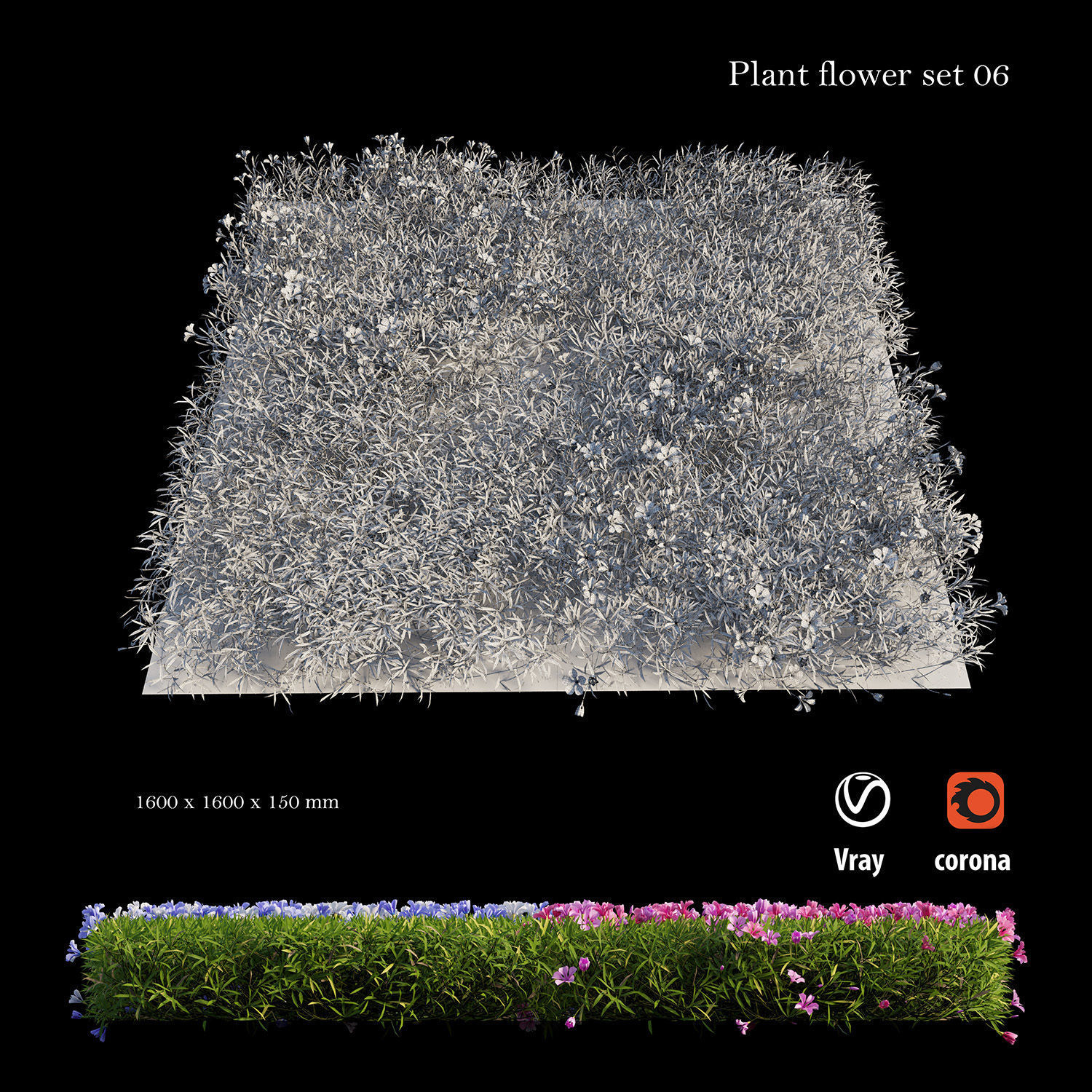 Plant Flower set 06 3D model_4
