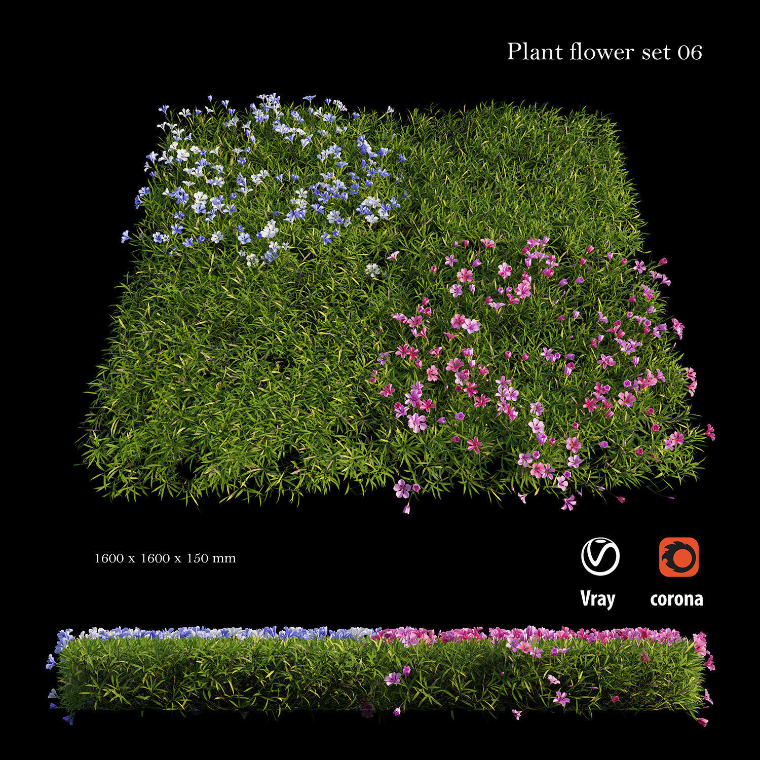 Plant Flower set 06 3D model_3
