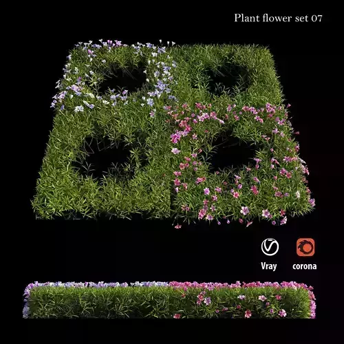Plant Flower set 07 3D model