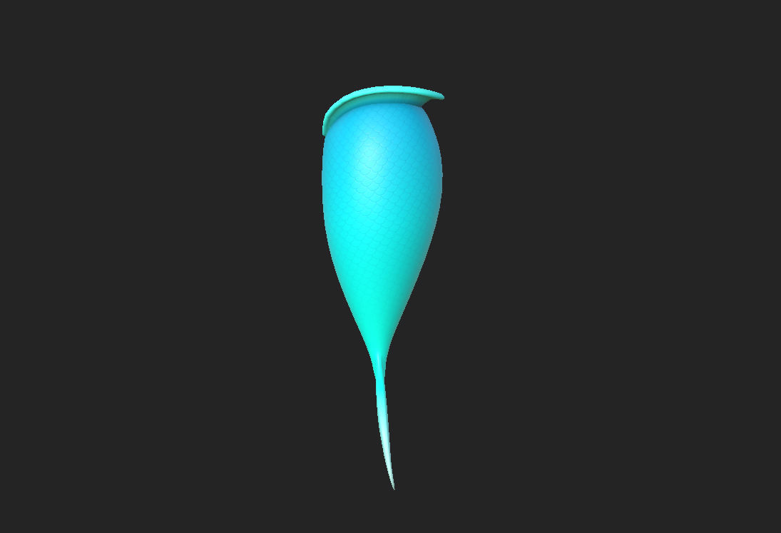 Mermaid Tail 3D model_12