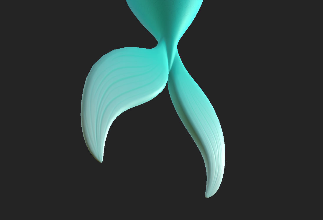 Mermaid Tail 3D model_17