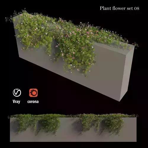 Plant Flower set 08 3D model