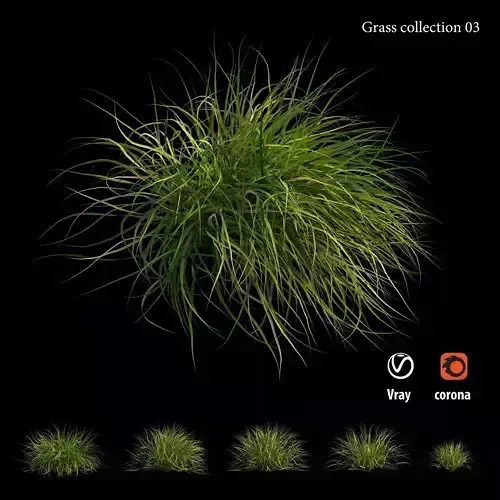 Grass collection 03