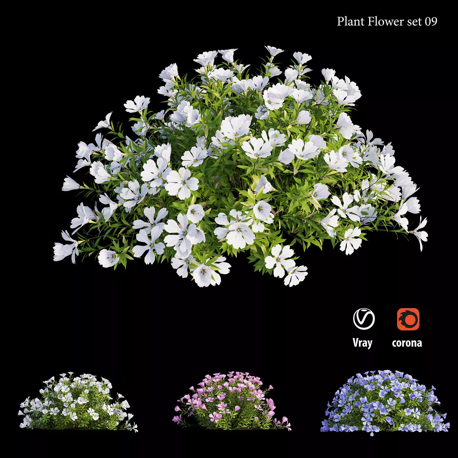 Plant Flower set 09 3D model