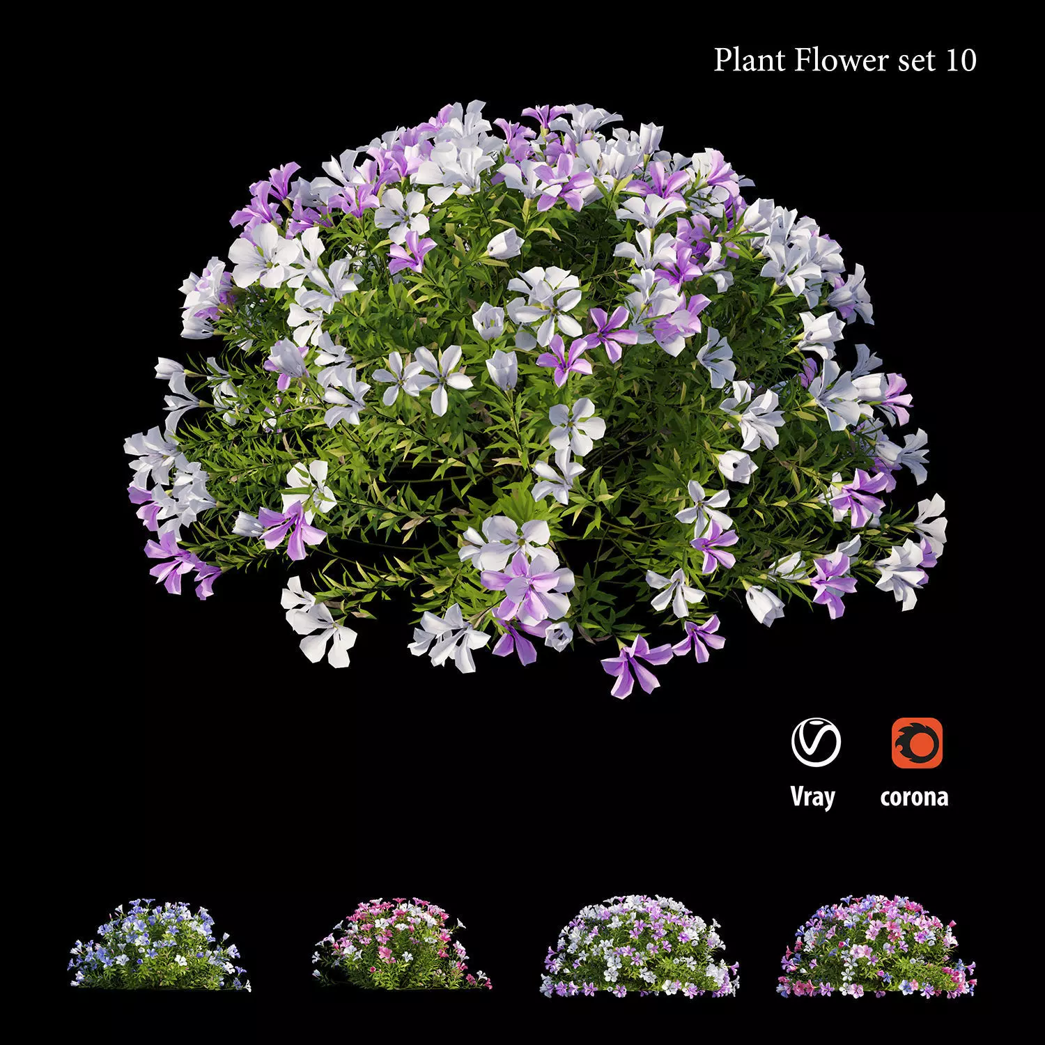 Plant flower set 10 3D model