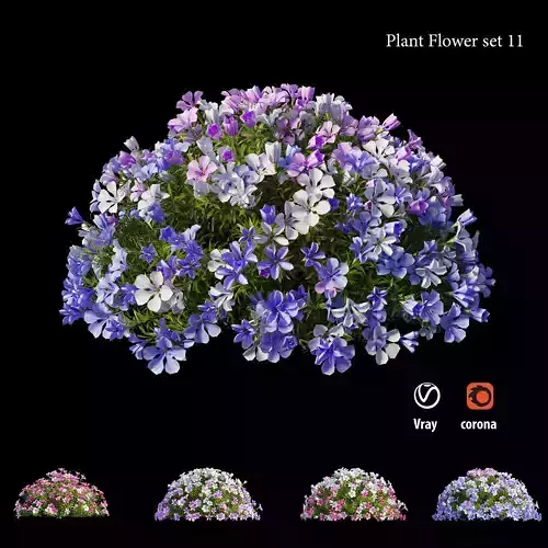 Plant flower set 11 3D model