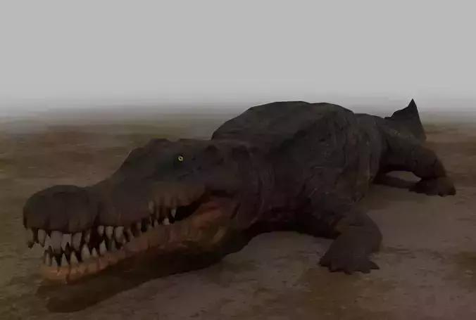 Crocodile Rigged Low Poly