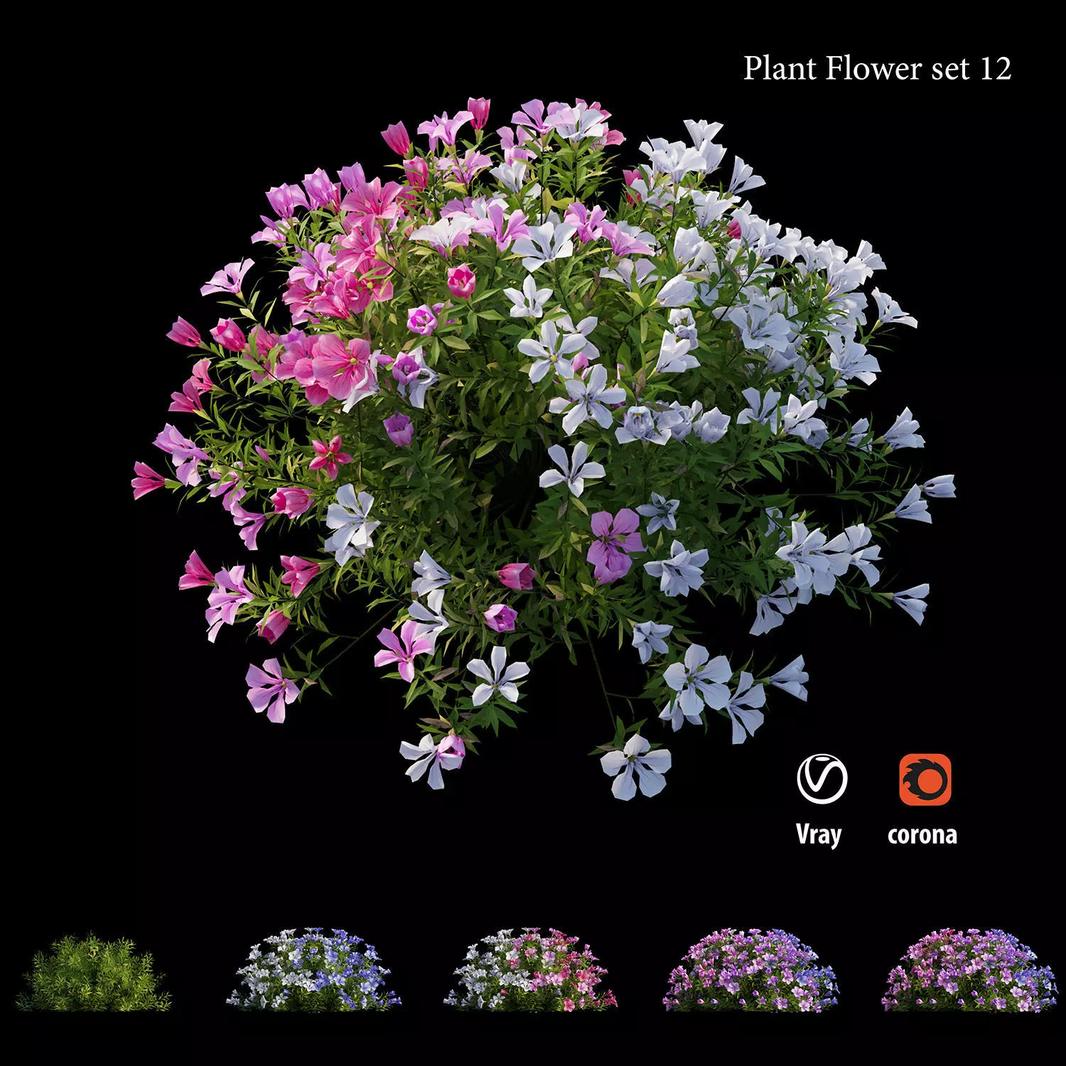 Plant flower set 12 3D model