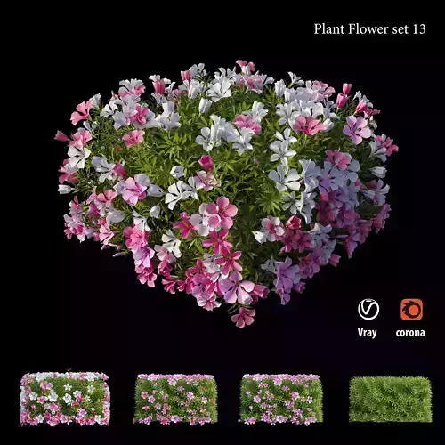 Plant flower set 13 3D model