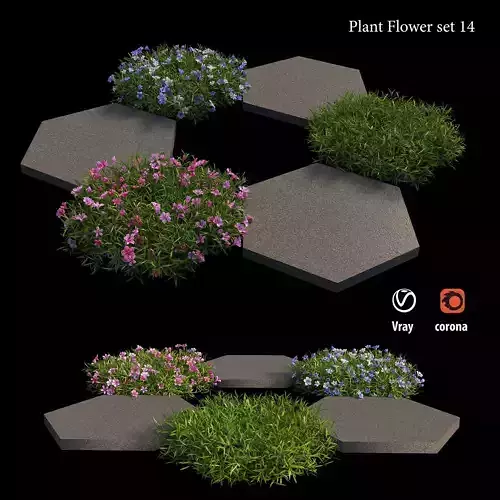 Plant flower set 14 3D model