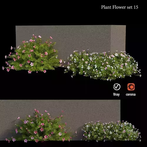 Plant flower set 15 3D model