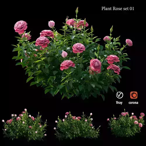 Plant rose set 01 3D model