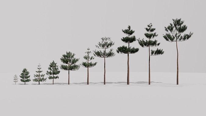 Game Ready Low Poly Pine Tree Collection  Low-poly 3D model