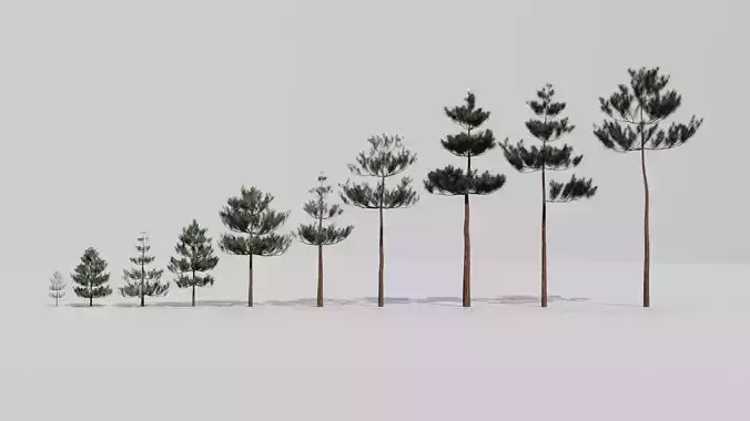 Game Ready Low Poly Pine Tree Collection  Low-poly 3D model