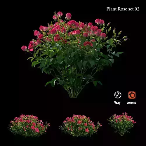 Plant rose set 02