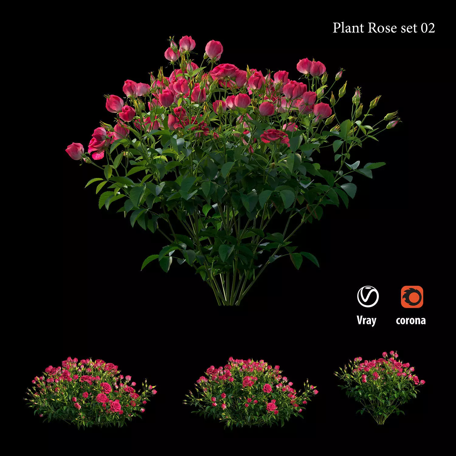 Plant rose set 02 3D model