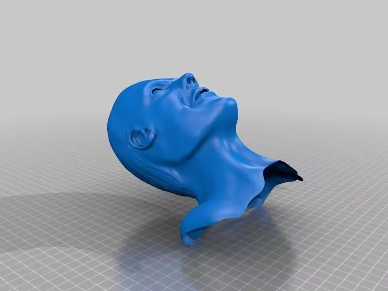 Hannibal Lecter Free 3D print model