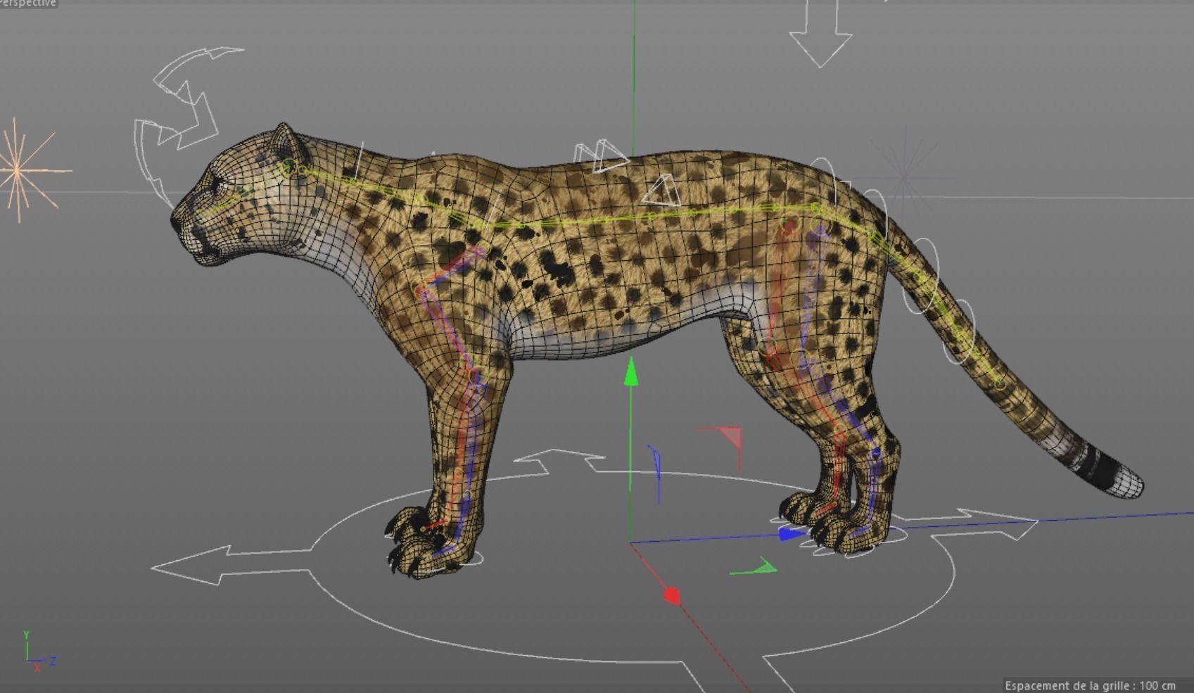 Cheetah 3D model High Detailed Rigged and Textures 3D model_6