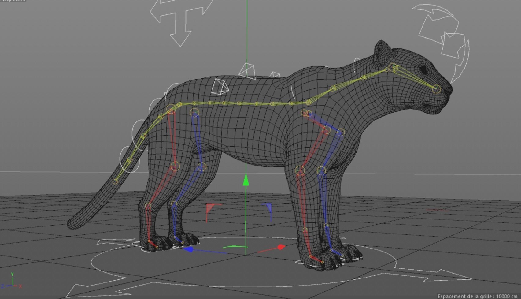 Cheetah 3D model High Detailed Rigged and Textures 3D model_5